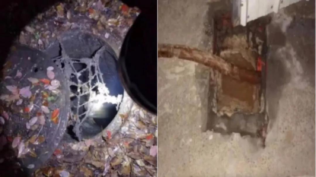 黑科技! 水污染“云溯源”手艺助力解决污水处置惩罚厂进水异常问题 黑科技! 水污染“云溯源”手艺助力解决污水处置惩罚厂进水异常问题